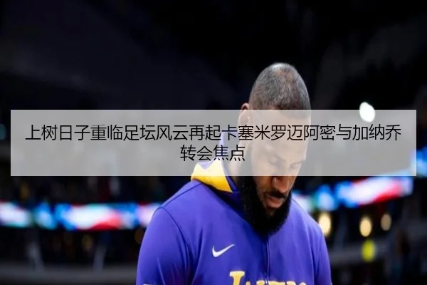 上树日子重临足坛风云再起卡塞米罗迈阿密与加纳乔转会焦点